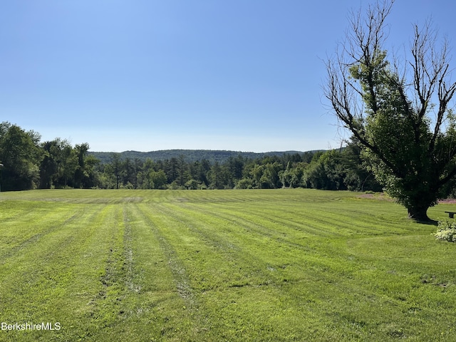 35 Chapman Rd, Pittsfield, MA 01201 - photo 24