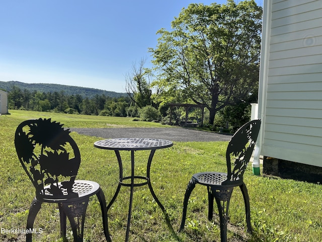 35 Chapman Rd, Pittsfield, MA 01201 - photo 19