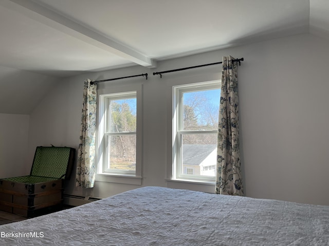 35 Chapman Rd, Pittsfield, MA 01201 - photo 62