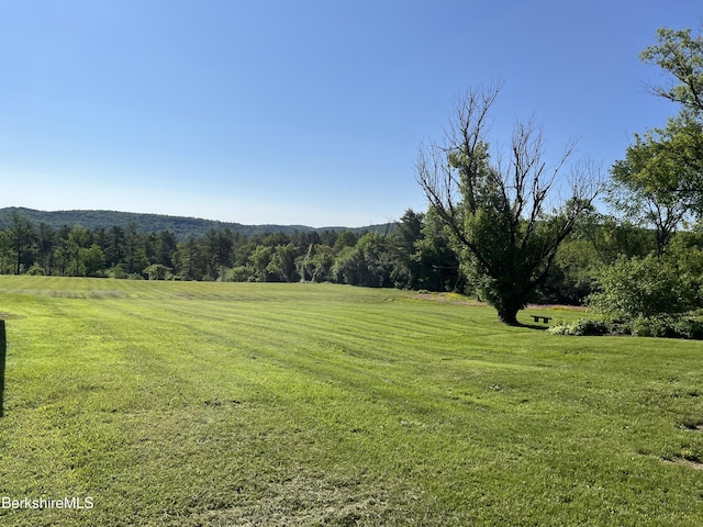 35 Chapman Rd, Pittsfield, MA 01201 - photo 22
