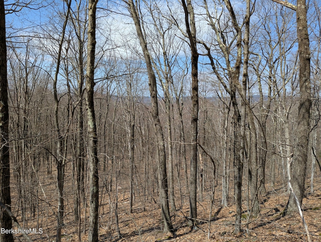 0 Lenox Rd, West Stockbridge, MA 01266