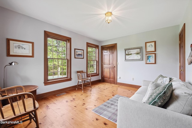 living room featuring light hardwood / wood-style flooring