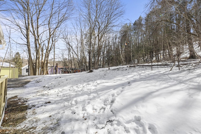 view of yard covered in snow