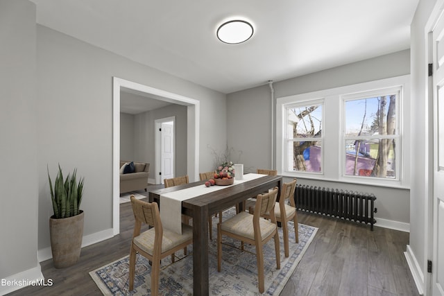 dining room with baseboards, dark wood-type flooring, and radiator