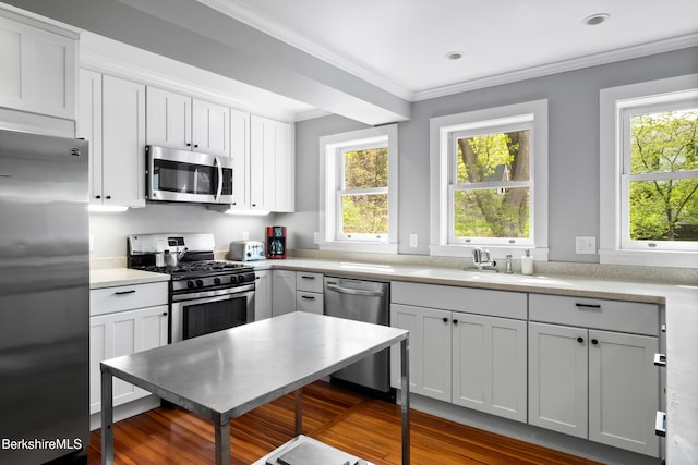 49 S St, Great Barrington, MA 01230 - kitchen with a healthy amount of sunlight, ornamental molding, stainless steel appliances, and wood finished floors
