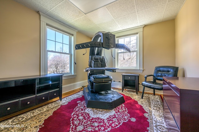 92 Elm St, Pittsfield, MA 01201 - living area featuring baseboards, wood finished floors, and a drop ceiling