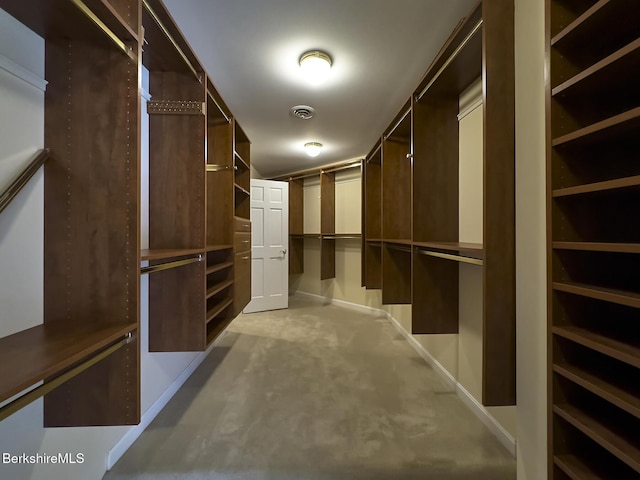 view of walk in closet