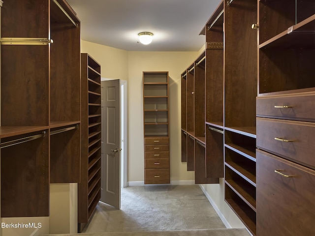 spacious closet with light colored carpet