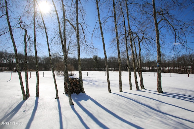 view of snowy yard