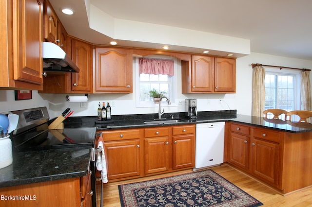 kitchen with a sink, a peninsula, dishwasher, under cabinet range hood, and stainless steel electric range