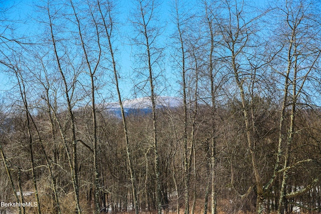 view of mountain feature with a forest view