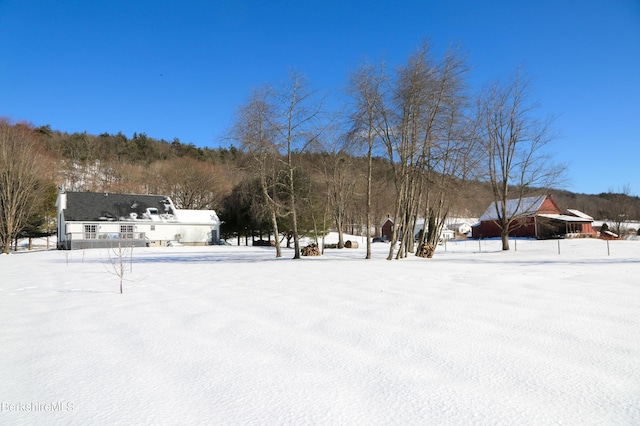 view of yard covered in snow