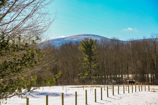 property view of mountains with a view of trees