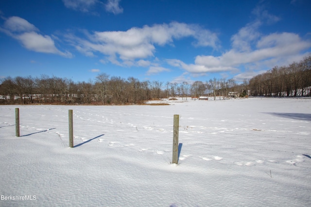 view of yard covered in snow