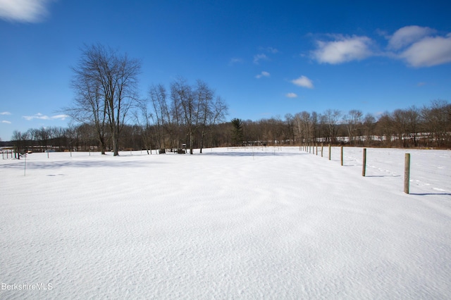 view of yard covered in snow