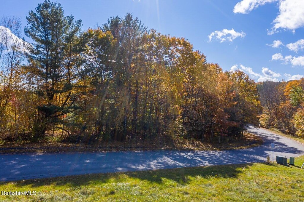 LOT140 Westbrook Ter, Pittsfield, MA 01201 - photo 4