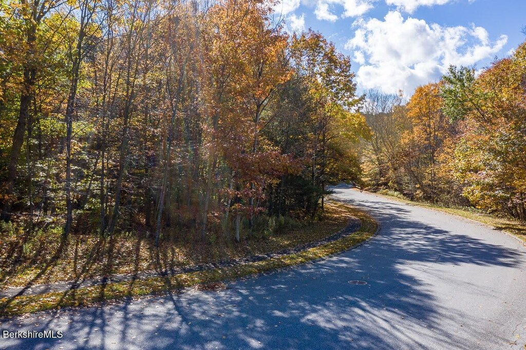 LOT140 Westbrook Ter, Pittsfield, MA 01201 - photo 3