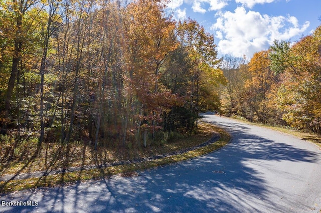 LOT140 Westbrook Ter, Pittsfield, MA 01201 - photo 3