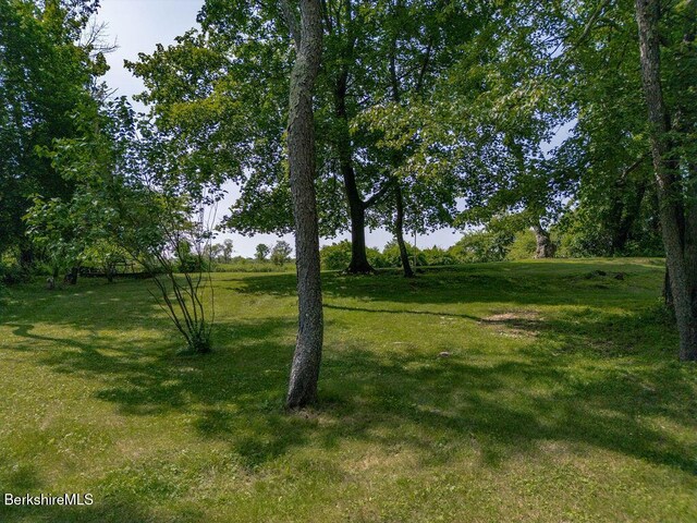 53 Snyder Pond Rd, Copake, NY 12516 - photo 31
