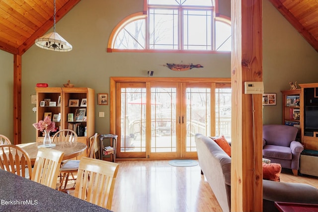 53 Snyder Pond Rd, Copake, NY 12516 - photo 8