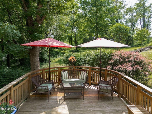 53 Snyder Pond Rd, Copake, NY 12516 - photo 28