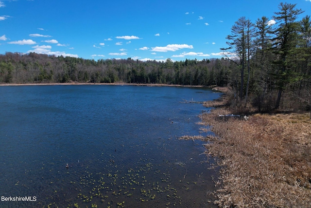 9 Wheatley Dr, Stockbridge, MA 01262 - photo 5