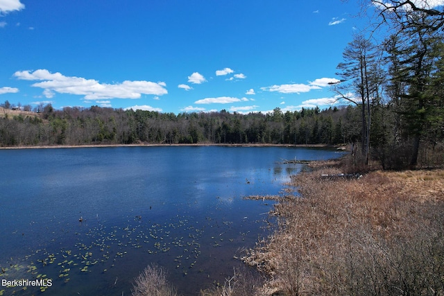 9 Wheatley Dr, Stockbridge, MA 01262 - photo 3