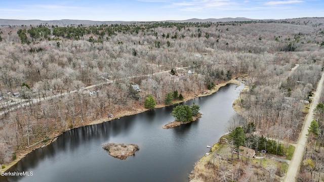 173 King Richard Dr, Becket, MA 01223 - aerial overview of property's location with a water and mountain view