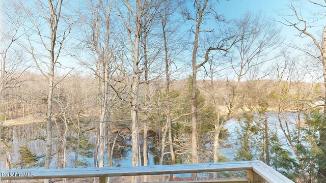 173 King Richard Dr, Becket, MA 01223 - water view