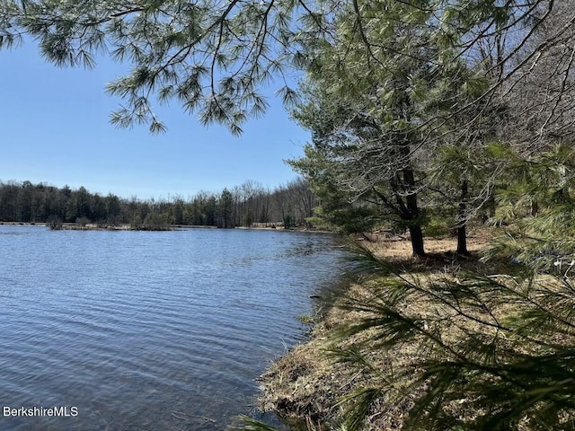 173 King Richard Dr, Becket, MA 01223 - water view with a forest