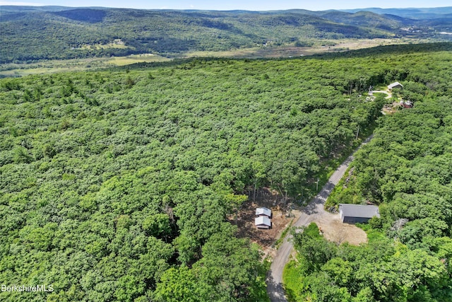 26 Stonebridge Way, Tyringham, MA 01264