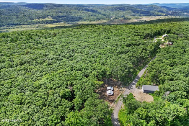26A Stonebridge Way, Tyringham, MA 01264