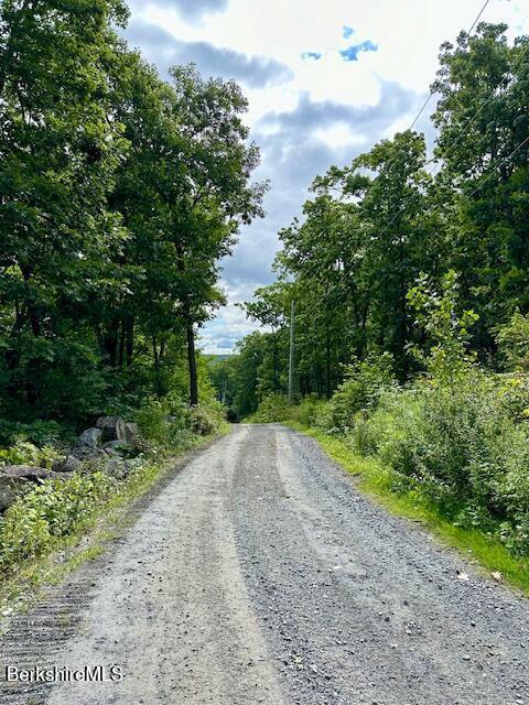 26A Stonebridge Way, Tyringham, MA 01264