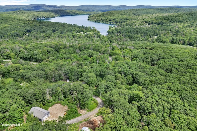 26 Stonebridge Way, Tyringham, MA 01264