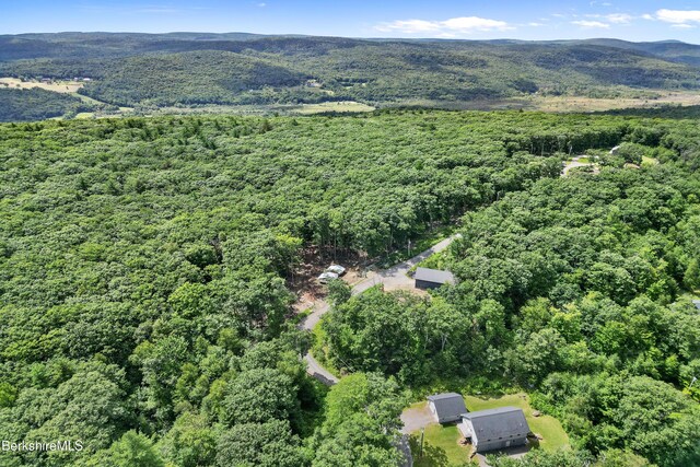 26A Stonebridge Way, Tyringham, MA 01264