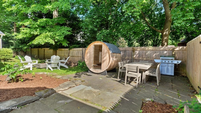 view of patio / terrace with grilling area