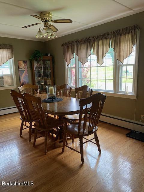 16 Woodlawn Ave, North Adams, MA 01247 - dining area with plenty of natural light, ceiling fan, and light wood-type flooring