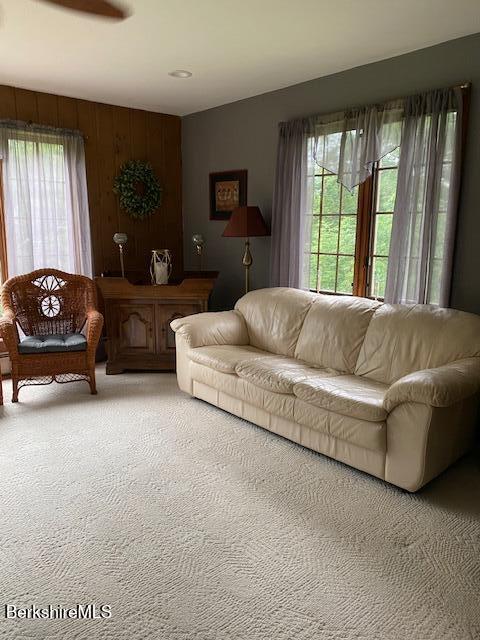 16 Woodlawn Ave, North Adams, MA 01247 - living area featuring carpet and wooden walls