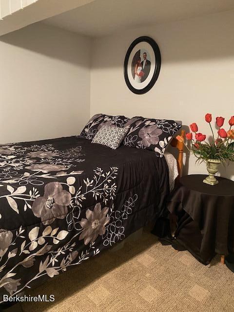 16 Woodlawn Ave, North Adams, MA 01247 - bedroom with carpet flooring