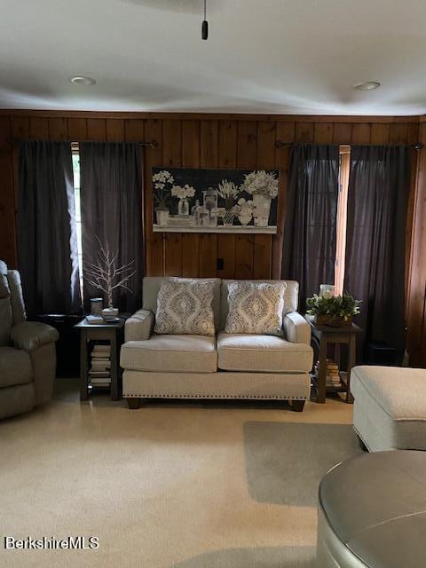 16 Woodlawn Ave, North Adams, MA 01247 - living area with light colored carpet