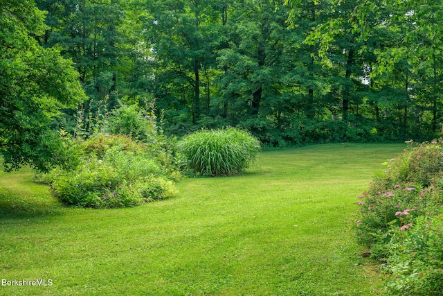 26 N Egremont Rd, Great Barrington, MA 01230 - view of grassy yard