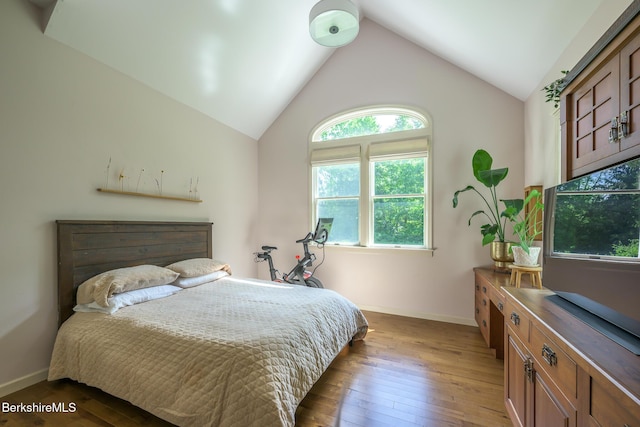 26 N Egremont Rd, Great Barrington, MA 01230 - bedroom featuring vaulted ceiling and hardwood / wood-style flooring