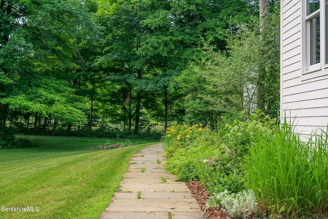 26 N Egremont Rd, Great Barrington, MA 01230 - view of green lawn