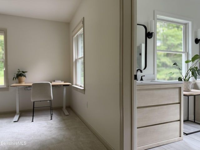 26 N Egremont Rd, Great Barrington, MA 01230 - office with a sink and light colored carpet