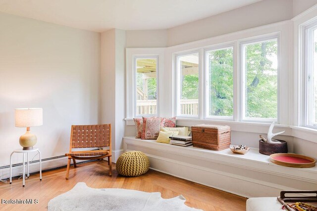 168 Main St, Sheffield, MA 01257 - photo 10