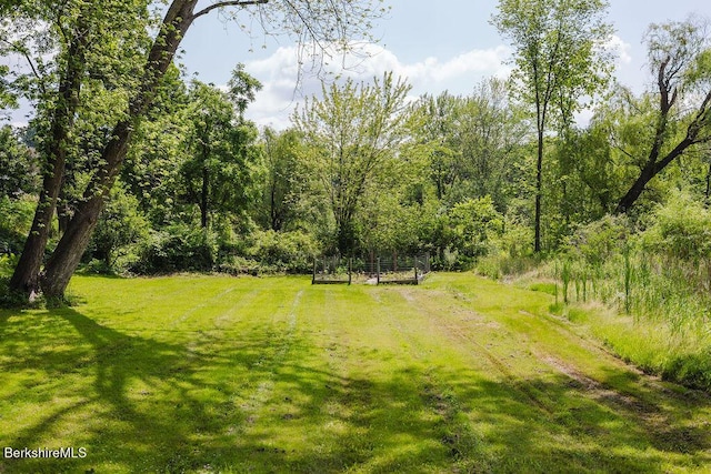 168 Main St, Sheffield, MA 01257 - photo 42