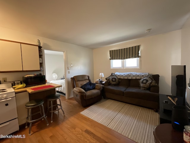 395 Laurel St, Lee, MA 01238 - living room with light wood-style flooring