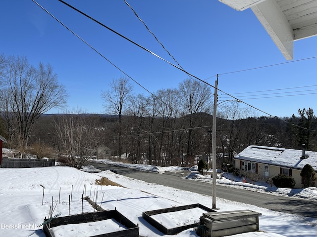 view of snowy yard