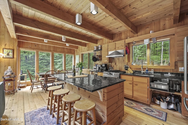 112 Silver St, Lanesborough, MA 01237 - kitchen featuring exhaust hood, stainless steel range with gas stovetop, wood walls, light wood-type flooring, and a center island