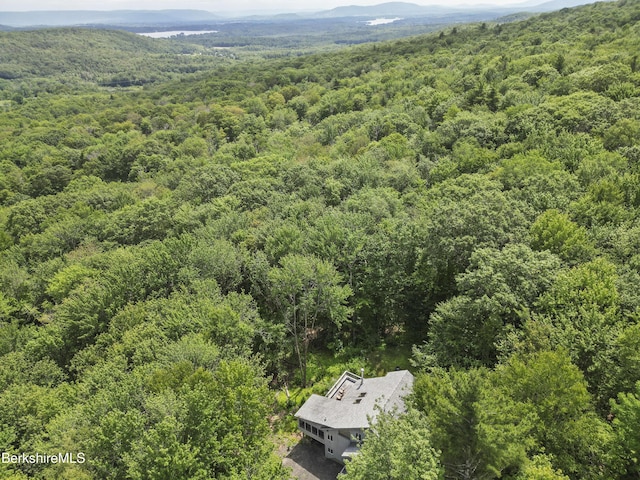 112 Silver St, Lanesborough, MA 01237 - aerial view of property and surrounding area featuring a forest